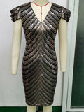 Women's Evening Gown Sexy Retro Sequins Dress Gown