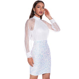 Women's Evening Gown Sexy Retro Long Sleeve Sequins Dress Dress
