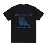 It Is What It Is and It Is Not Great T Shirt Funny Raccoon