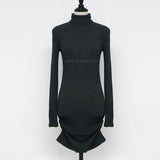 Women Dresses Turtleneck Dress Autumn Winter Sexy Long Sleeve Short Dress