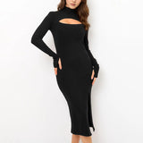 Women Dress Fall/Winter Wine Red Turtleneck Knitting Dress