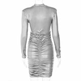 Women Dresses Winter Sexy Slim Long Sleeve Dress