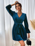 Women Dress Autumn and Winter V-neck Velvet Sexy Dress