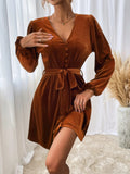 Women Dress Autumn and Winter V-neck Velvet Sexy Dress
