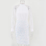 Women's Evening Gown Sexy Retro Long Sleeve Sequins Dress Dress