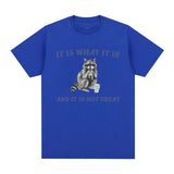 It Is What It Is and It Is Not Great T Shirt Funny Raccoon