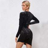 Women Dress Fall/Winter Slim Sheath Long Sleeve Mini Skirt