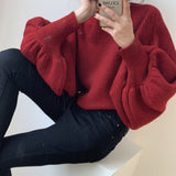 Women Winter Knitted Sweater Casual Style Sweater 8t3081