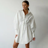 Women Dress Shirt Dress Autumn and Winter Long Sleeve A- line Dress