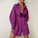 Women Dress Shirt Dress Autumn and Winter Long Sleeve A- line Dress
