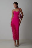 Women's Evening Dress Long Dress Sheath Bandage Dress