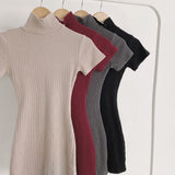 Women Dresses Turtleneck Short Sleeve Dress