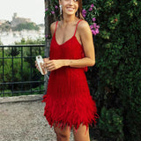 Harlem Nights Outfits Summer Tassel Sequins Feather Stitching Dress Color Dress