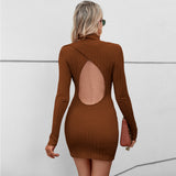 Women Dress Knitted Turtleneck Backless Sexy Dress