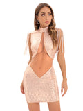 Women's Evening Gown Sexy Sheer Mesh Stitching Sequins Dress Evening Dress