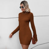 Women Dress Knitted Turtleneck Backless Sexy Dress