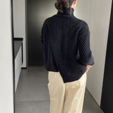 Women Winter Knitted Sweater Turtleneck Thick Sweater Autumn Winter Coat 8t3123