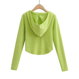 Women Sweater Knit Wear Hooded Sweater Women's Spring and Autumn Bottoming Shirt Sweater