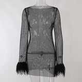 Women Dresses Mesh Dress Sexy Dress (Bla0420)