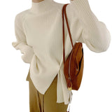 Women Knitwear Autumn and Winter Turtleneck Knitwear Sweater