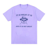 It Is What It Is and It Is Not Great T Shirts Funny Meme