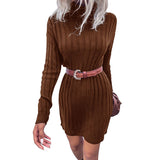 Women Knitted Sweater Autumn and Winter Turtleneck Long Sleeve Loose Sweater Dress