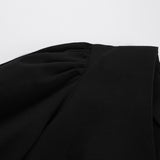Women Dress Dress Women's Autumn Simplicity Loose Puff Sleeves A- line Skirt