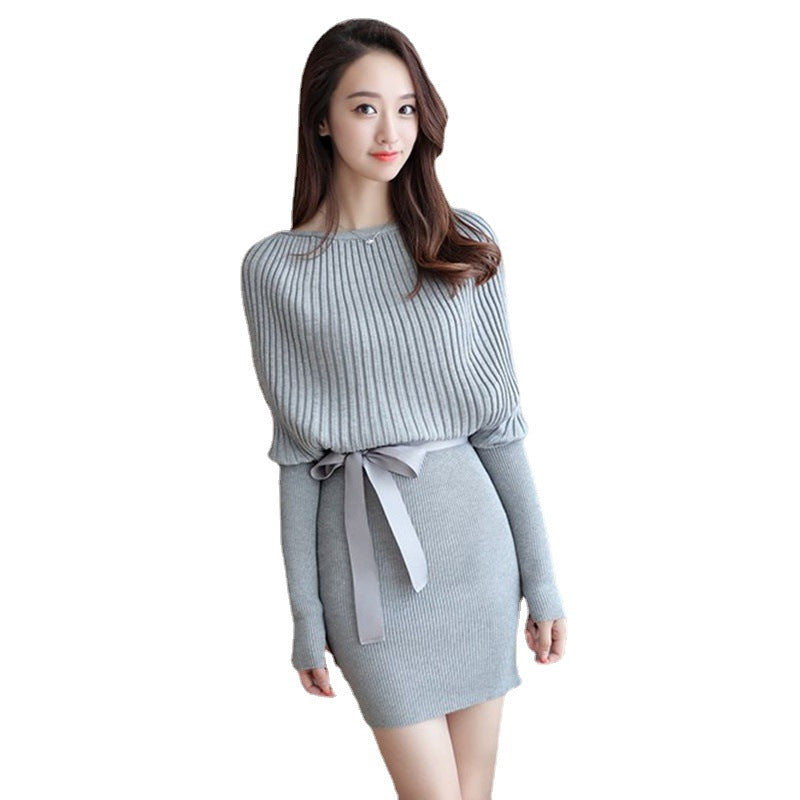 Women Maxi Dress Autumn and Winter round Neck Long Sleeve Narrow Hip Knitwear Dress