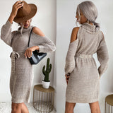 Women Knitted Sweater Autumn Knitted Hollow out Shoulder-Baring High Collar Sweater Dress