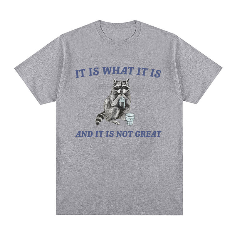 It Is What It Is and It Is Not Great T Shirt Funny Raccoon