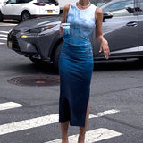 Women Dresses Spring round Neck Pleated Pullover Dress (Bla0420)