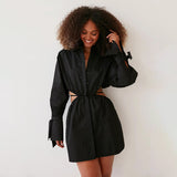 Women Dress Fall/Winter Slim Lantern Sleeve A- line Dress