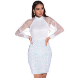 Women's Evening Gown Sexy Retro Long Sleeve Sequins Dress Dress