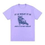 It Is What It Is and It Is Not Great T Shirt Funny Raccoon