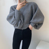 Women Winter Knitted Sweater Casual Style Sweater 8t3081