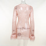 Women Dresses Mesh Dress Sexy Dress (Bla0420)
