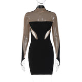Women Dresses Winter Sexy Mesh Slim Fit Long Sleeve Narrow Dress