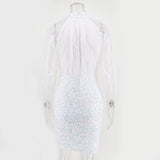 Women's Evening Gown Sexy Retro Long Sleeve Sequins Dress Dress