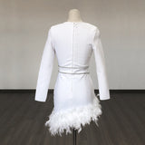 Women's Evening Dress Bandage One-Piece Dress Long Sleeve Short Dress