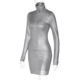 Women Dresses Winter Sexy Slim Turtleneck Long Sleeve Narrow Dress