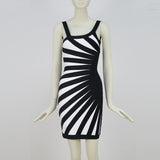Women's Evening Dress Zebra Striped Spaghetti Straps Dress Sexy Backless Sheath Skirt