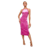 Women Dress Autumn Winter Sexy Backless Sheath Velvet Dress