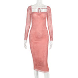 Women Dresses Vintage Lace Mesh Long Sleeve Dress