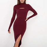 Women Dress Fall/Winter Wine Red Turtleneck Knitting Dress