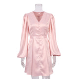 Women Dress Fall/Winter Pink V-neck Dress
