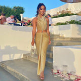 Women Dresses Sexy Backless Dress Long Sheath Skirt (Zns0409)