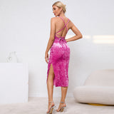 Women Dress Autumn Winter Sexy Backless Sheath Velvet Dress