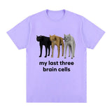 Funny My Last Three Brain Cells Cats Meme T Shirt Men's