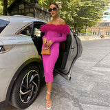 Women Dresses Spring Sexy Sheath Long Sleeve Dress
