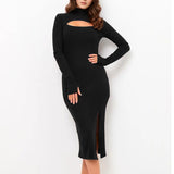 Women Dress Fall/Winter Wine Red Turtleneck Knitting Dress